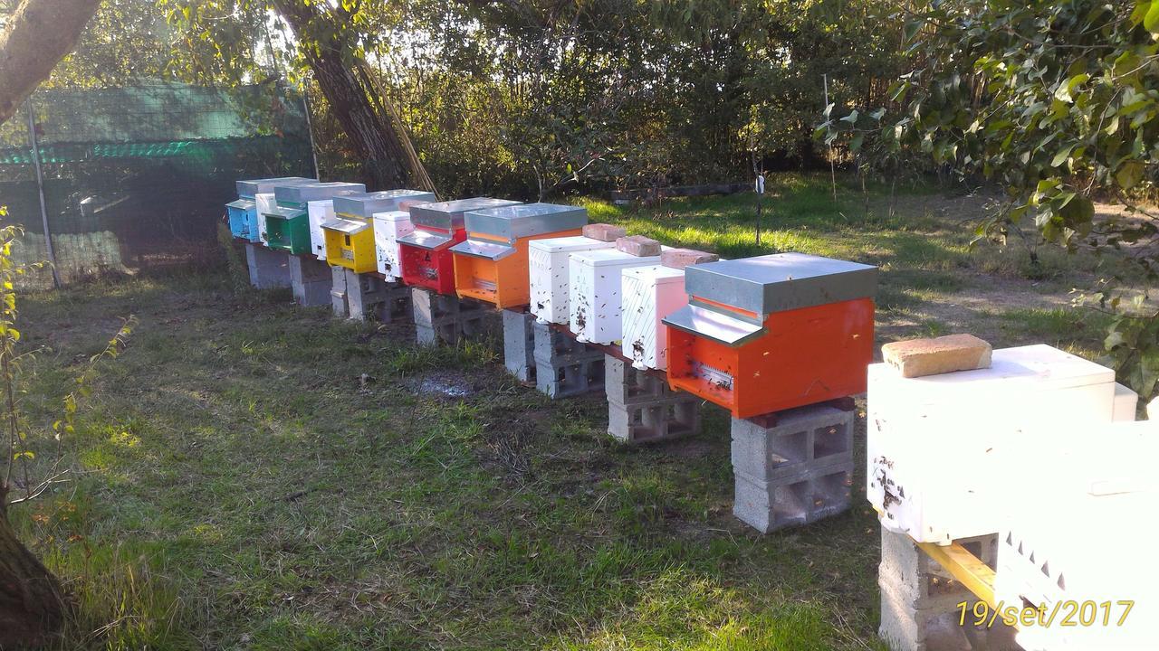 L'Ape In Corte Casa Di Campagna, Via Francigena Stanze E Colazione Vaccarizza 外观 照片