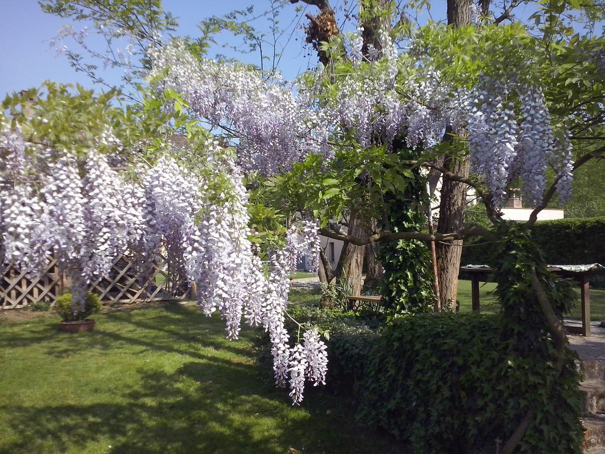 L'Ape In Corte Casa Di Campagna, Via Francigena Stanze E Colazione Vaccarizza 外观 照片